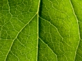 20090927233440_20090222_1.jpg