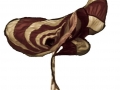 20090813_71.jpg