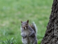 nyc2012-jfagnoni-2398.jpg