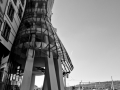 20110209-09022011_mg_896148.jpg